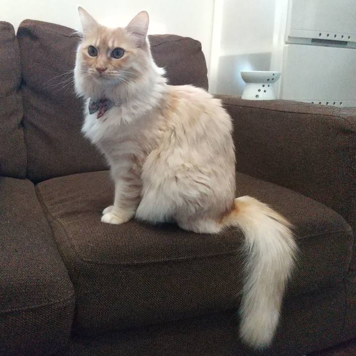 C291476e 6c0c 4065 9aaa e8555bc61ace 1645484575419