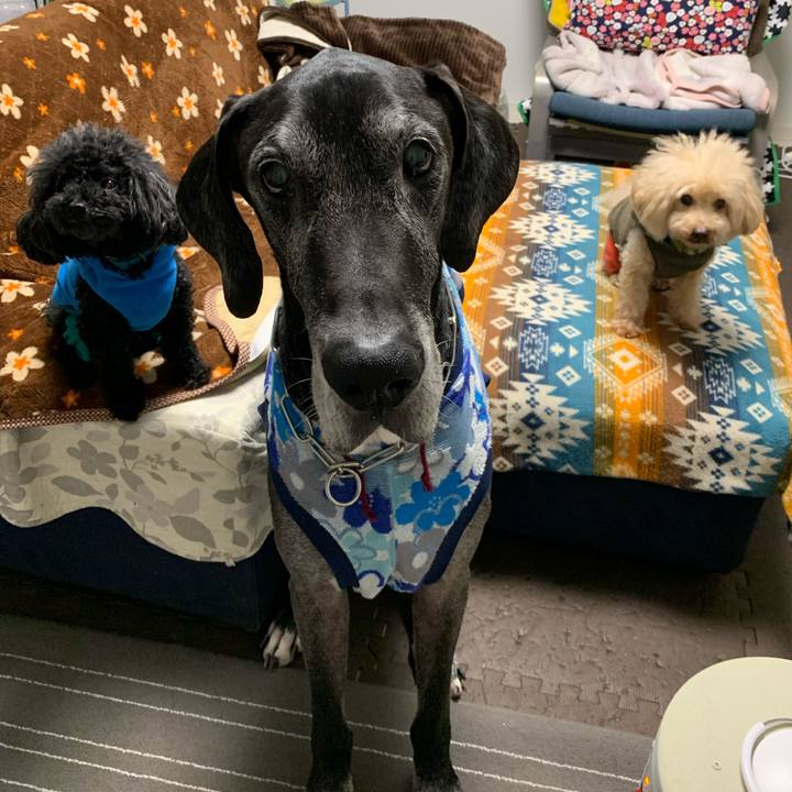 C2916457 e5ae 44dd 8188 9c6ddfb50d05 1607553047604