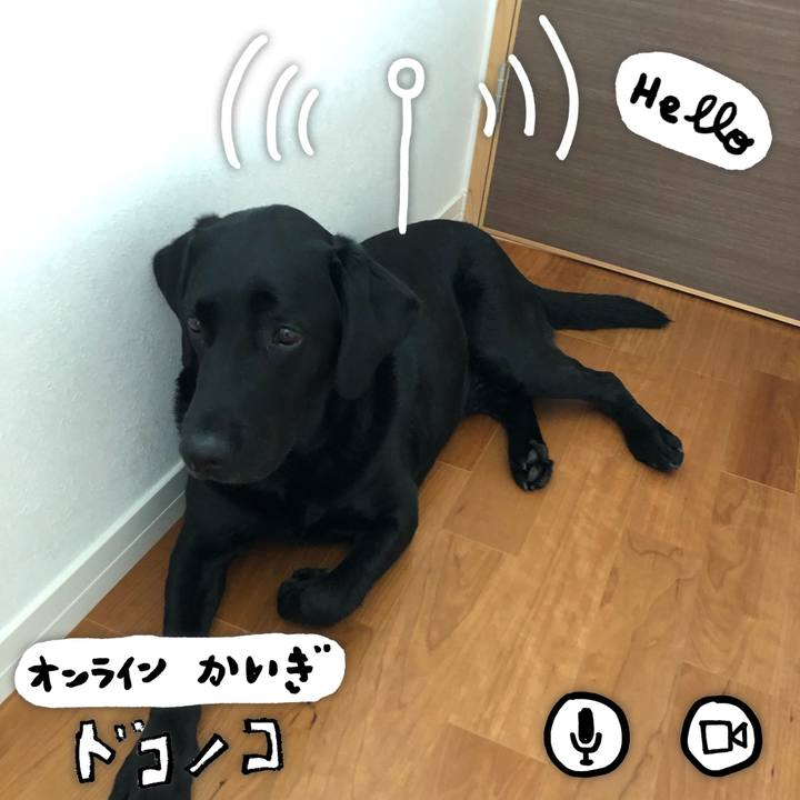 C29166f7 7020 4ea2 92bb 4f262ac8e9eb 1591370503960