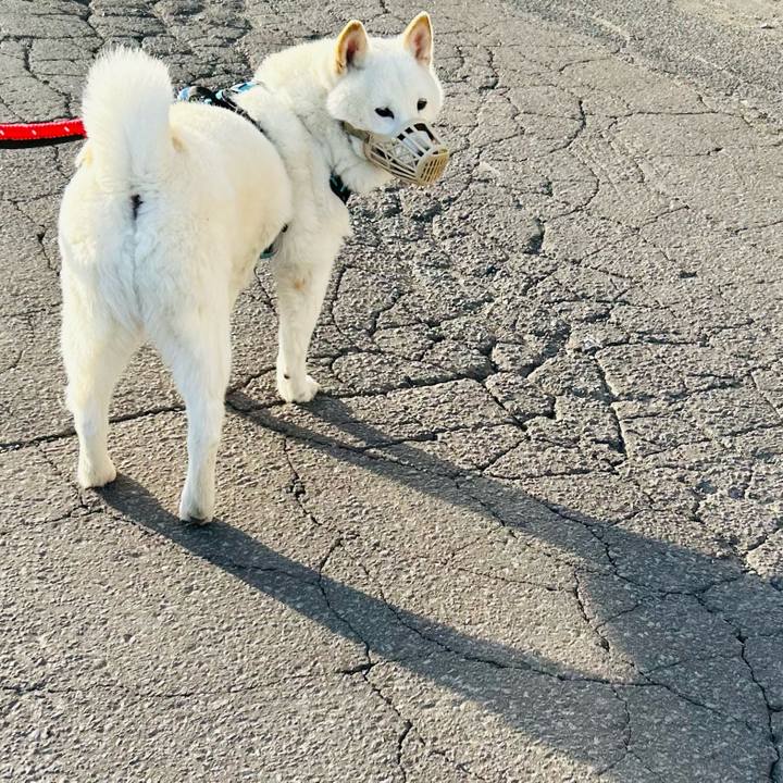 C291730b 9ea2 4f76 9d5f 807b5586a311 1684530104334