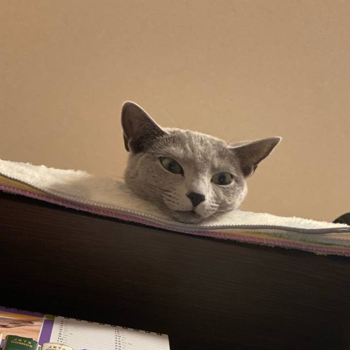 C2917f3f a697 4ae2 894e fb177a9d9264 1640646094671