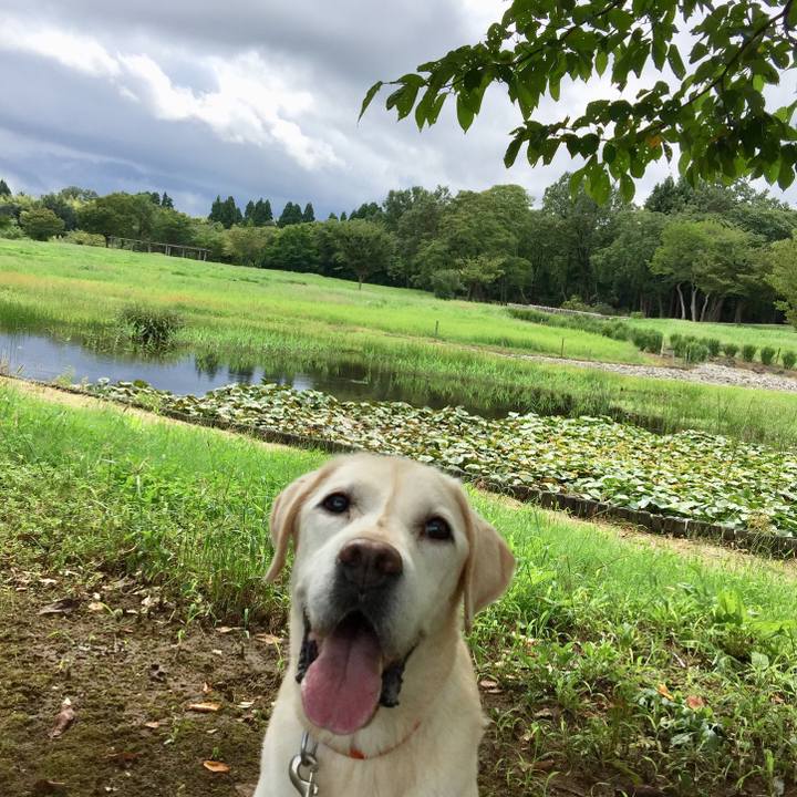 C29181bb 6186 4b1e 9de3 05a8a88496fc 1555490711144