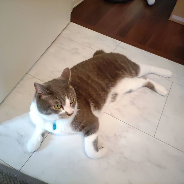 C291969d 17d2 426f b954 ab355a43ccf2 1655725870870