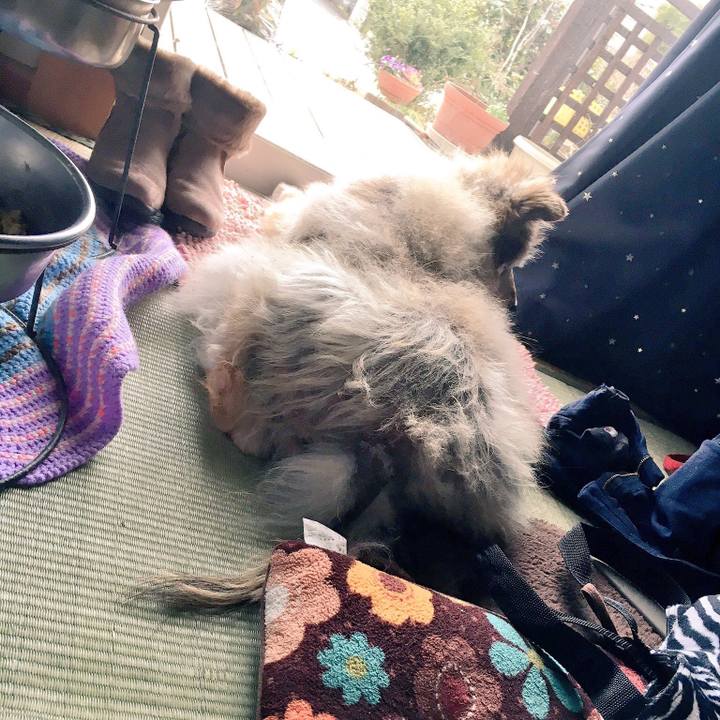 C2919d97 2990 46cb 9010 5c3307fa59ad 1567364595197