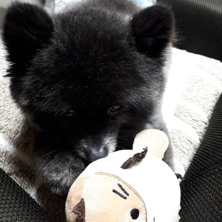 C291a1c4 2854 4762 8fb4 4ce1dfdf5ab9 1548890720871