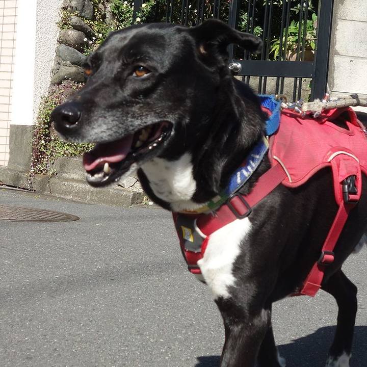 C291e66a 1175 4c71 a46f 0d7c2a14fcb6 1682556745909