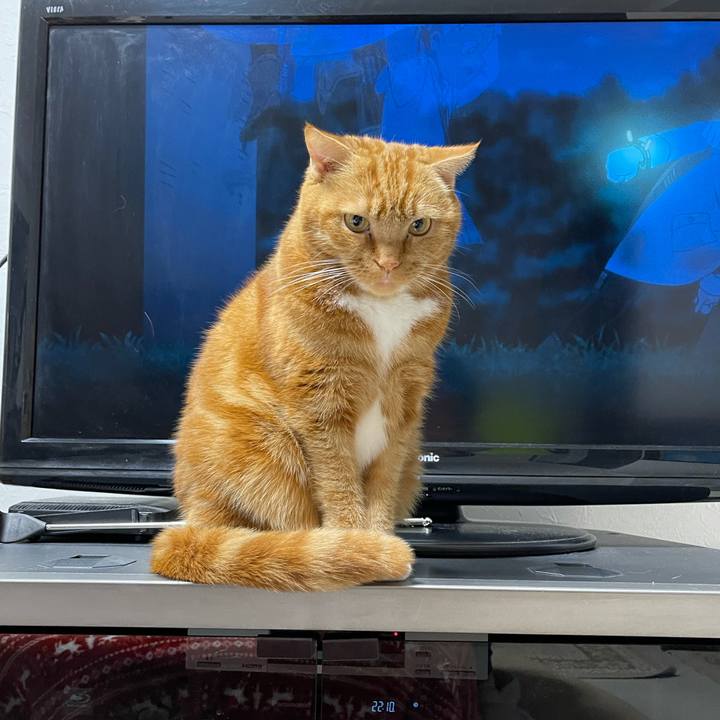 C2923272 e832 4690 bdc4 496b90affe0e 1637673203835