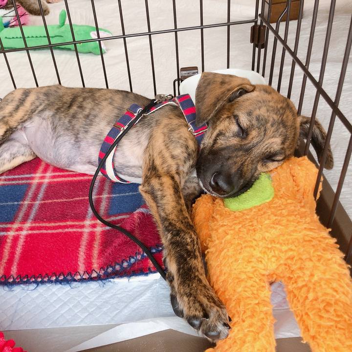 C2925d44 391c 44e1 a9b9 8940d0561e06 1567658145264