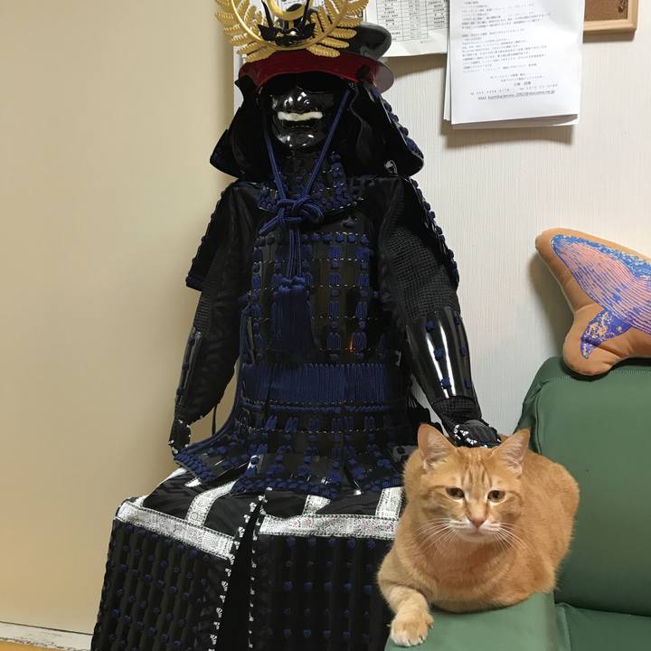 C292ac5e fffb 4f6e 8354 b839431db3d9 1555494191891