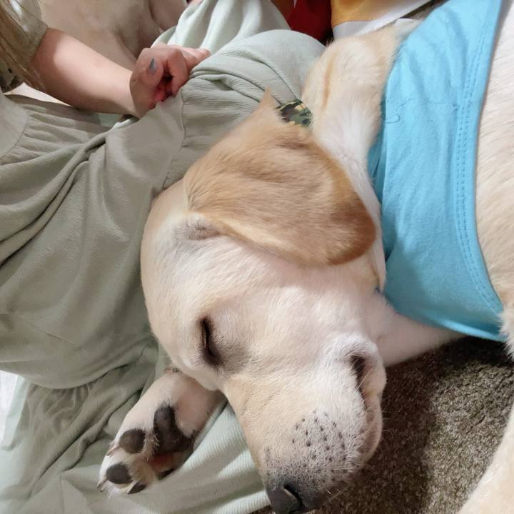 C292d0f0 5108 46bb bcb3 1f889b5df8f5 1621948121247