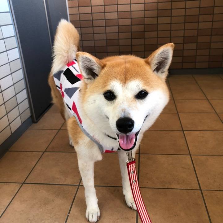 C292da82 9b97 4840 b215 5ad2f2a5c11a 1558700635069