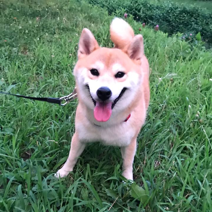 C292ed1a fd18 4981 9b79 1e376091125a 1532006339914