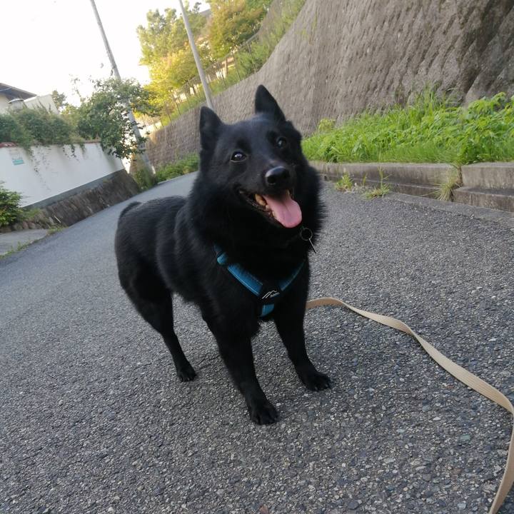 C292f18b cb03 4cba 9598 a3bcaec60f06 1661725253269