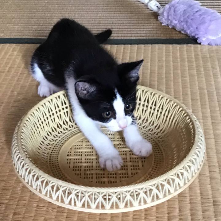 C2930a83 e8be 4975 a33c 70ba4b626da7 1625465065569