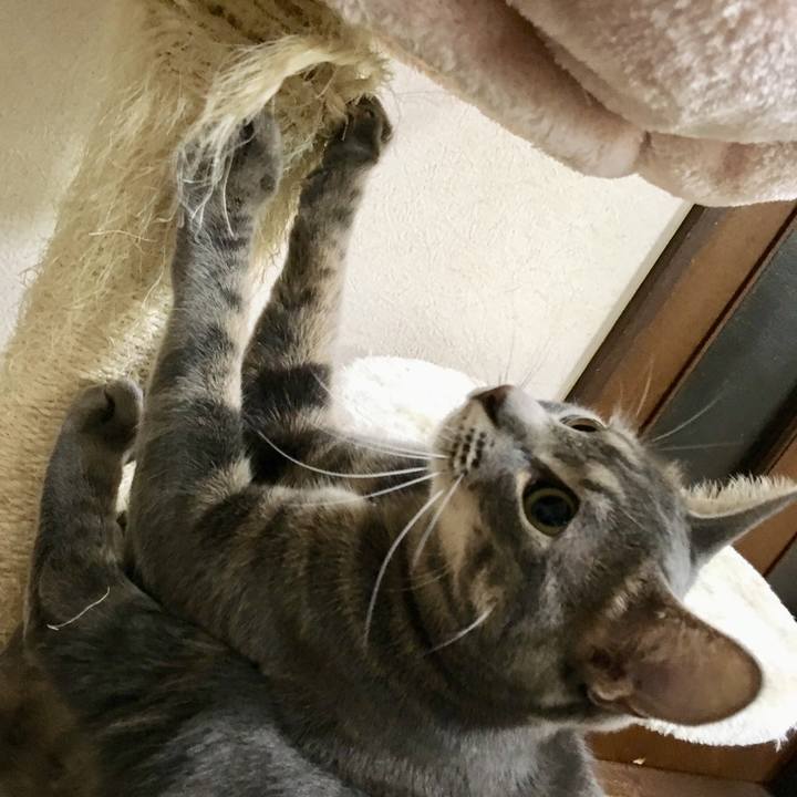 C2933b59 2e51 4817 b5a8 fc7cbc07e6a3 1524007257192