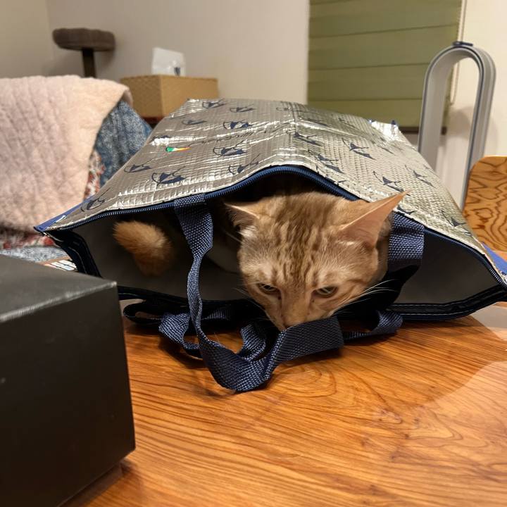 C2935589 6a59 47c5 9e56 5bc1a760e793 1668724321310