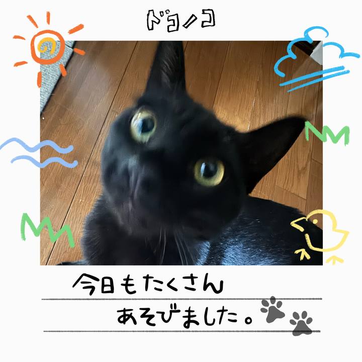 C29355d0 e41e 46c5 bbaf c34362248da7 1755056067727