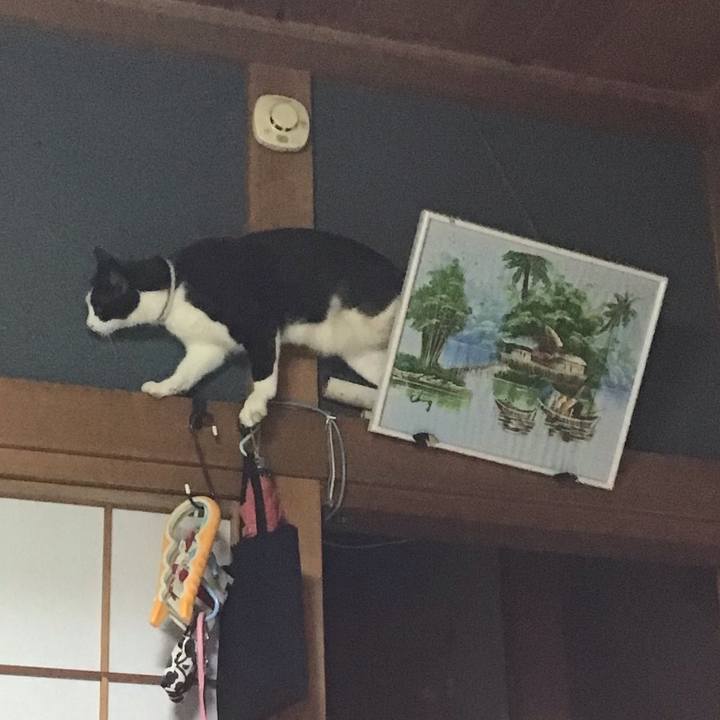 C293649c c64a 4e6a b7d4 21cb49d8aff6 1656628765048