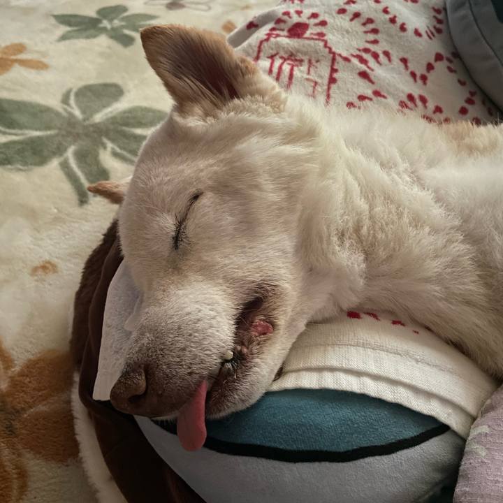 C293c634 5cab 404b 9a29 8df4555459a1 1684876075442