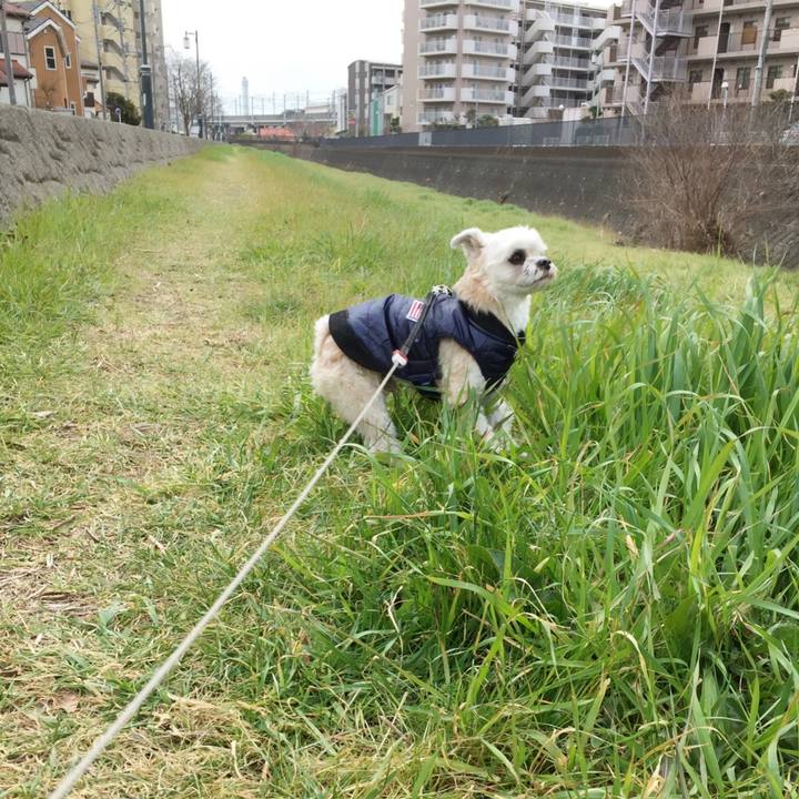 C293ccdd a0d7 487d 8324 b81056b0a404 1549344857179