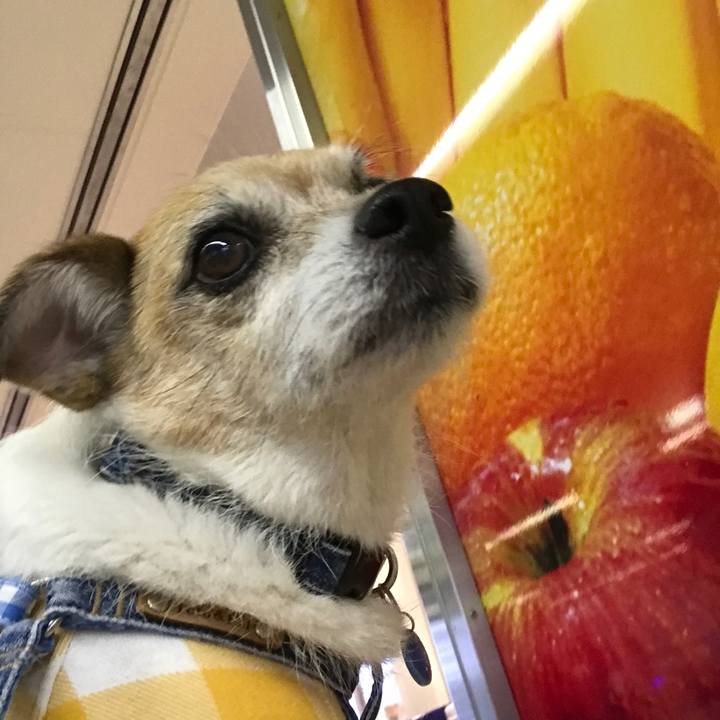 C2941978 ab3b 468b b541 1352f7aefd92 1637220924468