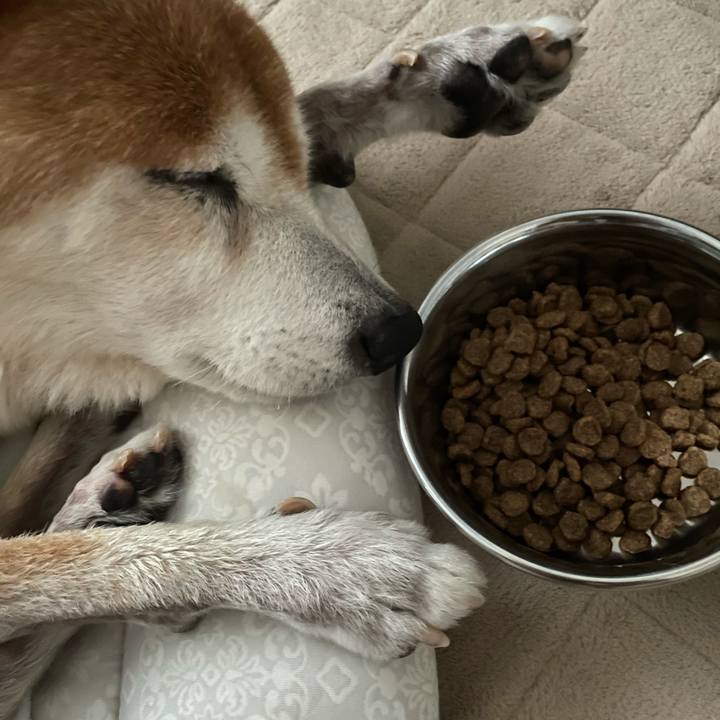 C29424b2 eb31 4238 8999 0c09e7167056 1629307019178