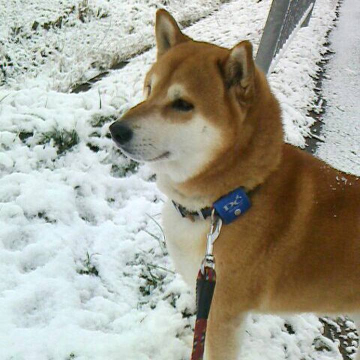 C2942edb 1c12 467d b1b8 7af0ee2db2cd 1549078382724