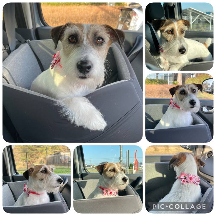 C294369f 5fa5 4c4a bd4e 8a0526d8df4e 1649414396499