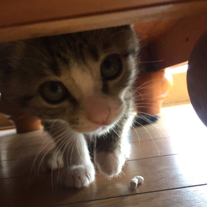 C2943981 20a5 448b b633 64f48d2dc3a5 1653266343803