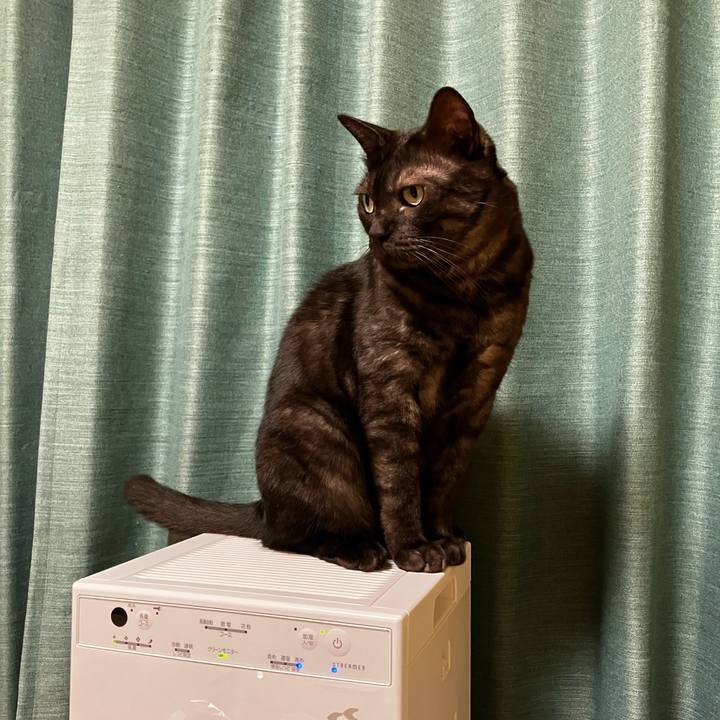 C29452ed cd32 42c8 91bb 4e85c1c34a5e 1726452143261