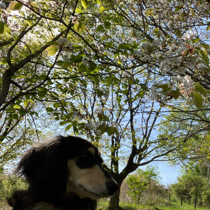 C2946525 082a 497d 8894 e04cc56149b3 1681257428488