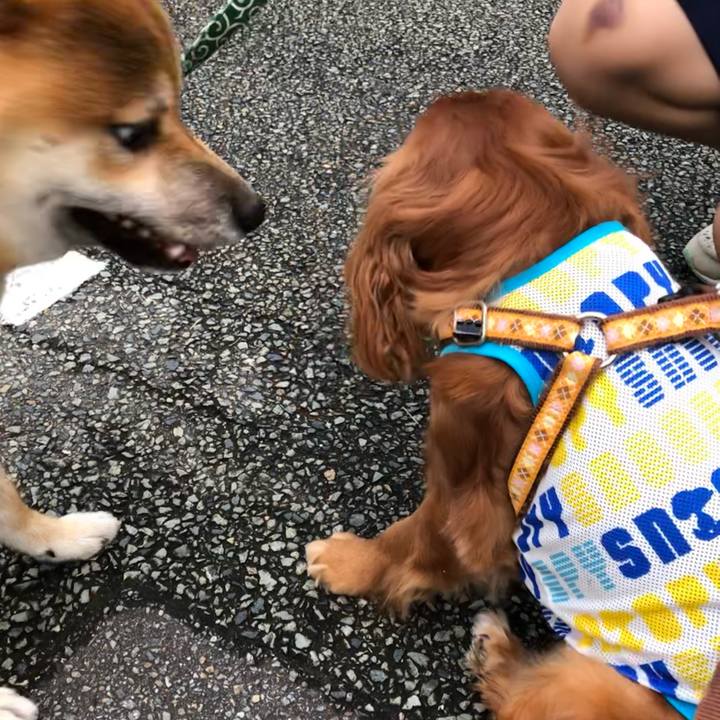 C2947505 5bc7 40f2 b372 19561b31d54c 1627732500949