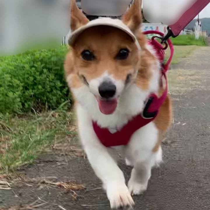 C2949246 c4cf 4790 bdf1 165ffae7d238 1659916834624