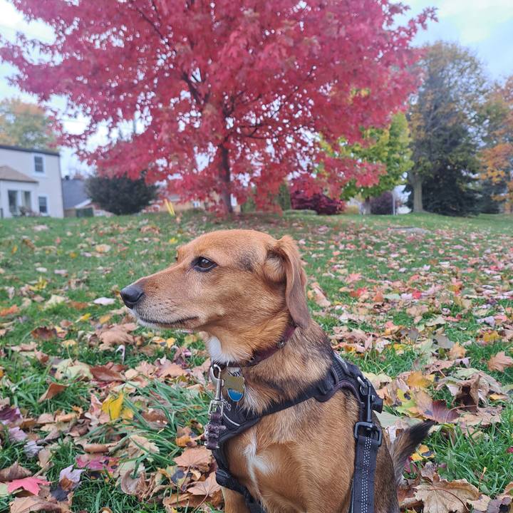 C294a6f7 a7f7 4f88 807e db4db84082e0 1762522041420