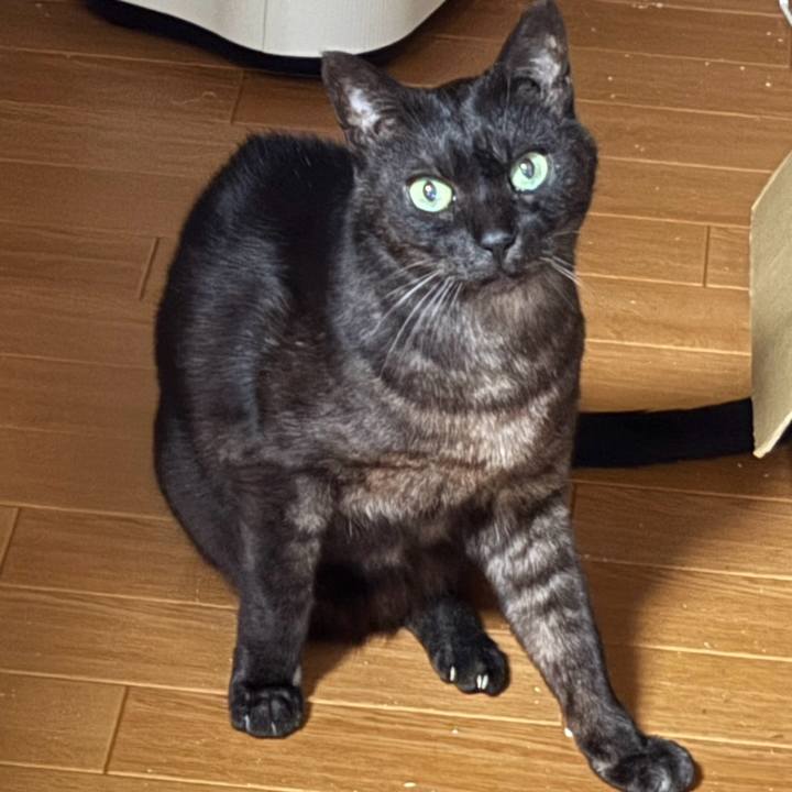 C294bc4d 8120 41f9 bc6f 5c236e36abe3 1767741572102