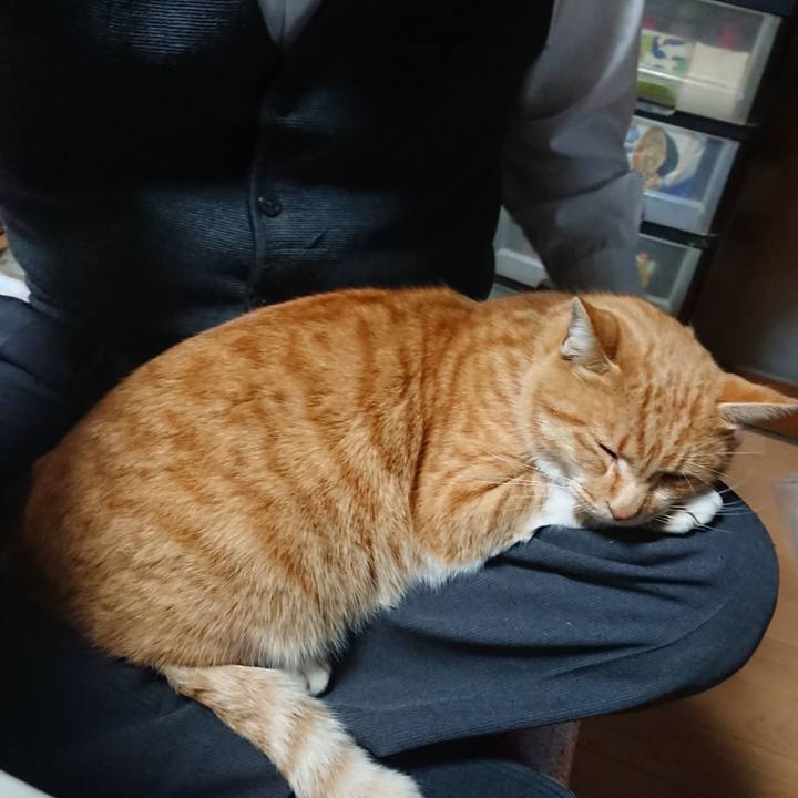 C294d836 b3d3 4bdb ae41 d7a3eda87200 1607071918612