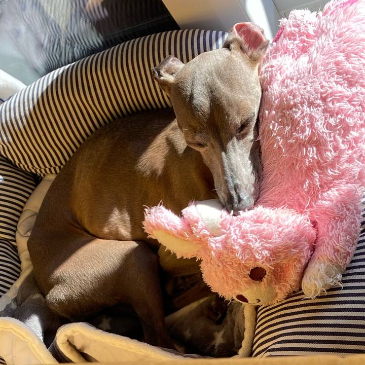 C294ee9e 261e 427b 90d7 3f391fb57290 1761544532514