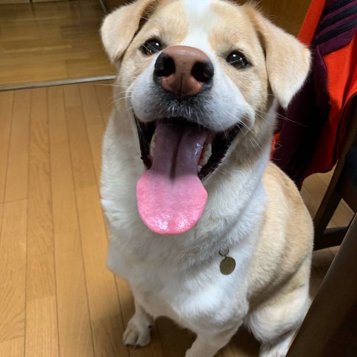 C2951ba2 7684 42cc ac97 fdac805e27fa 1563060374463