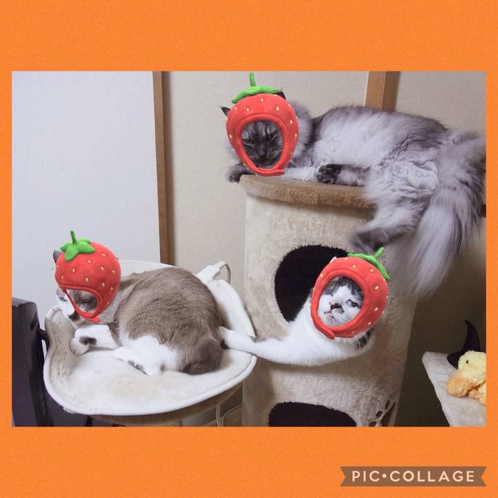 C29521a1 c92f 4404 b319 8bdb3b3c8877 1719796296125