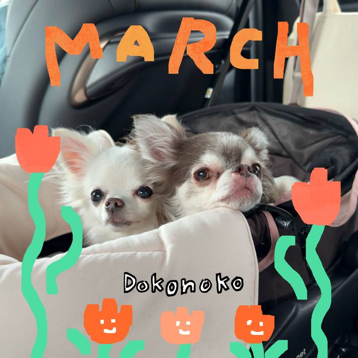 C2954432 5ab3 41e2 b167 e22a17771df9 1741398038202