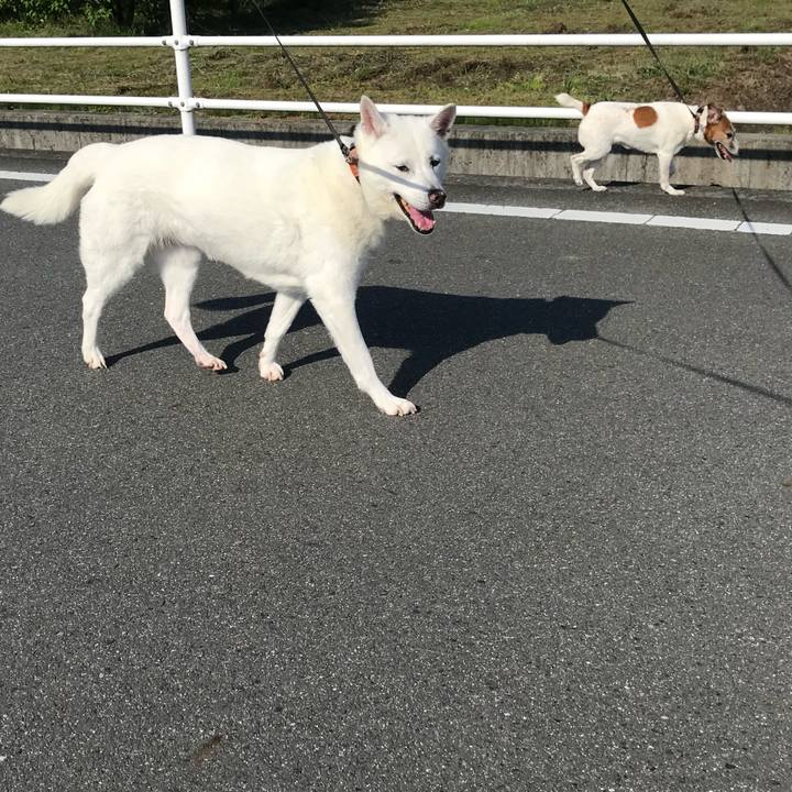 C295616c 953c 404a 8928 ed2662b79008 1556927777031