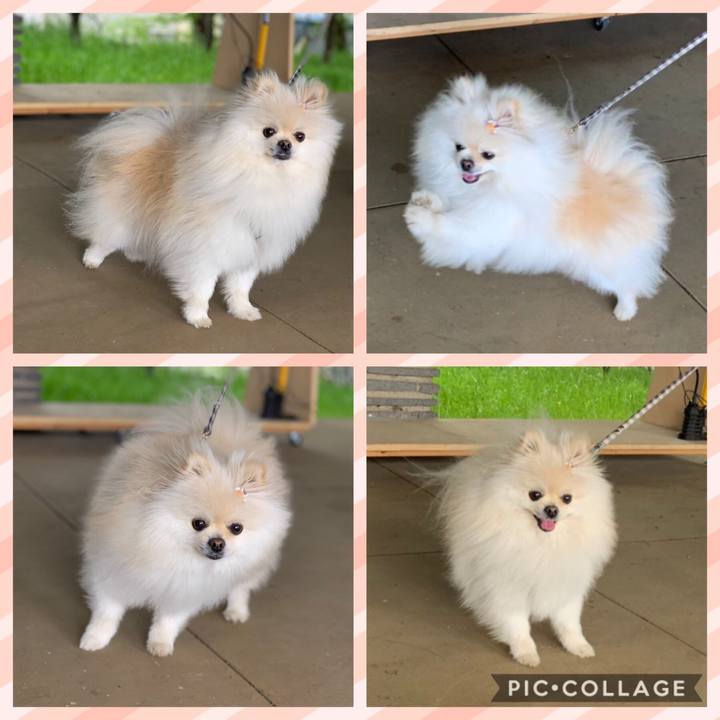 C295a313 934a 4888 b43c 71d9cdda556d 1556827267324