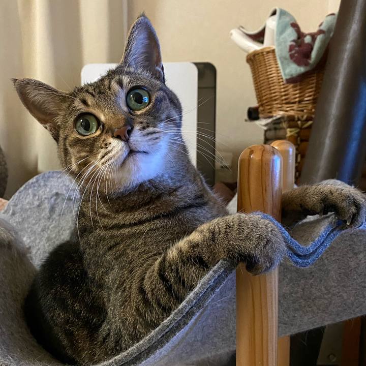 C295c48f 95e3 42d1 b904 ae8771f9e4a7 1763186338946