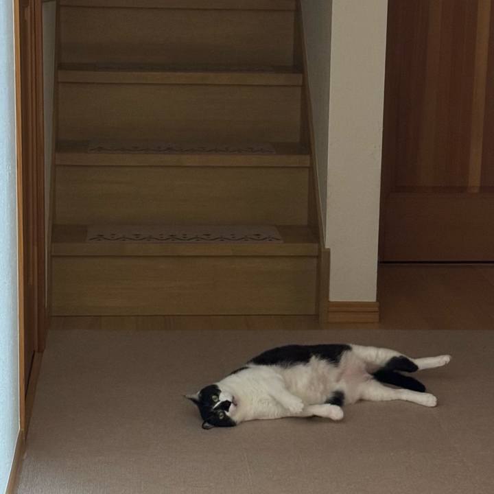 C295d171 fff7 44f0 be5e 7e75055429cc 1765888420607