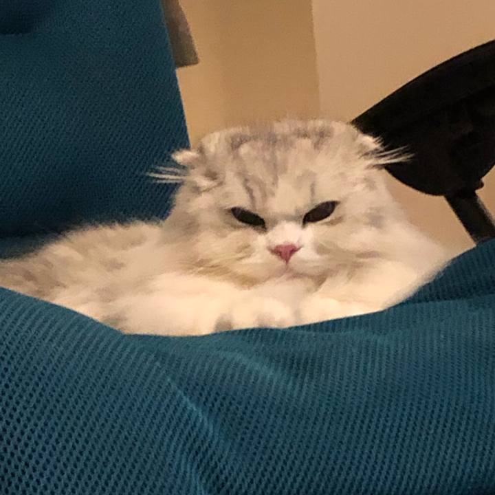 C295fd03 3d0d 4e16 8291 fd49474c113f 1646402197455