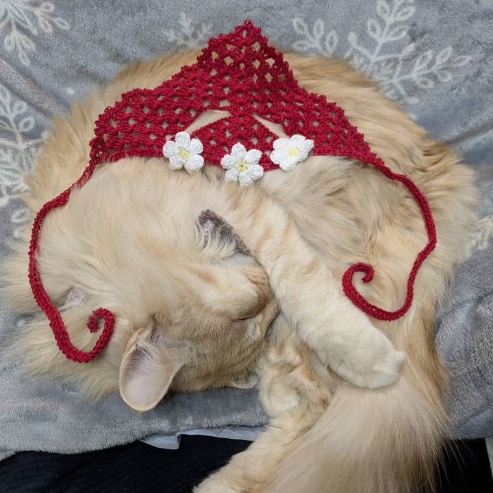 C29600f9 5b93 44fe 8bad 87b59702debe 1770653275631