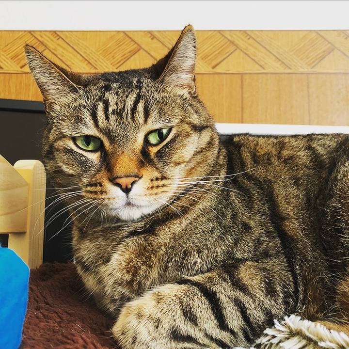 C2963e3d bdc6 452e 86f8 d6b6ef3df9e6 1521691022841