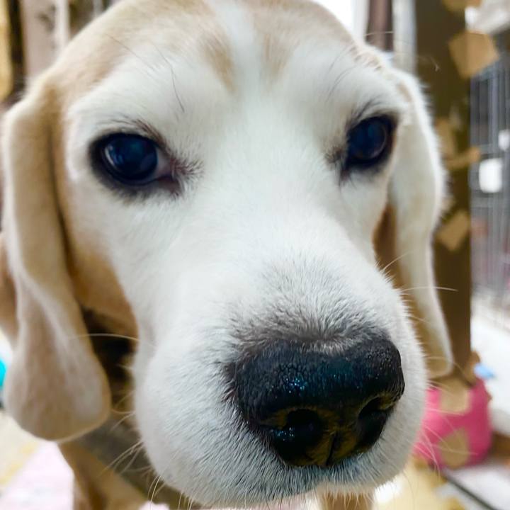 C2964e45 2ef5 4bd1 92c8 8c301fe45338 1645337191348