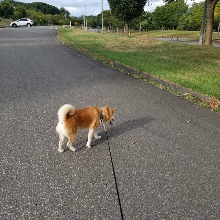 C296828e e9eb 44fc 8f9a 2f9a733b3206 1693811513234