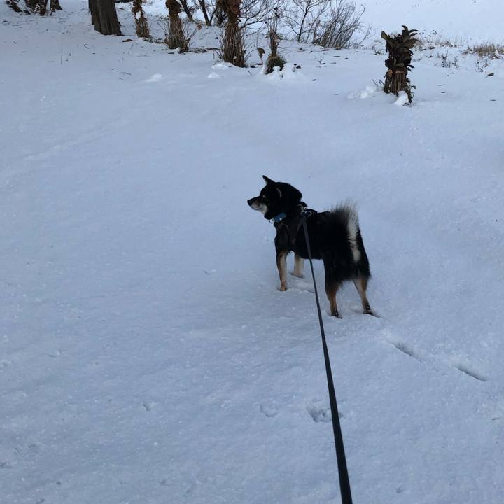 C2969b0c 7548 49ed 94e4 3d86369b0eb2 1542961370682